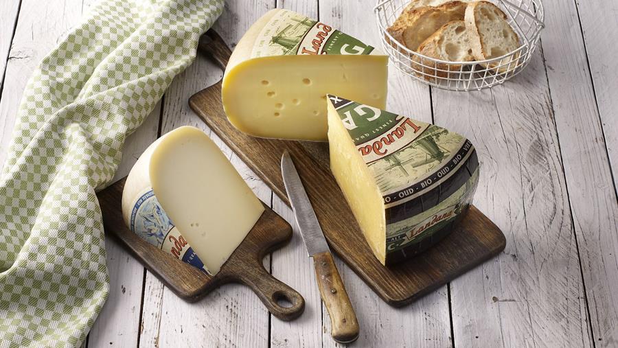 Osez les saveurs authentiques dans votre rayon fromages