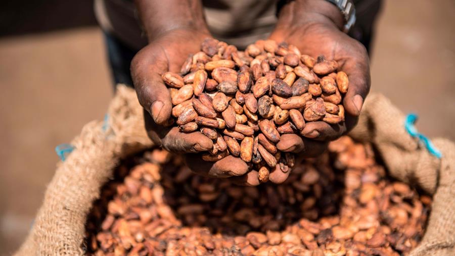 Originechocolades nemen de consument mee op reis