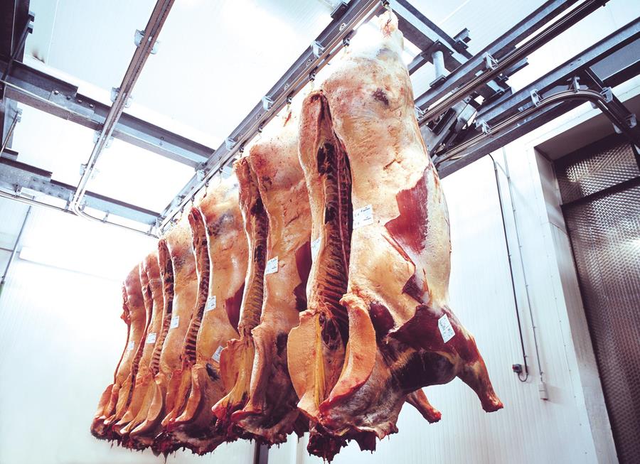 Soulignez les avantages de la viande de cheval