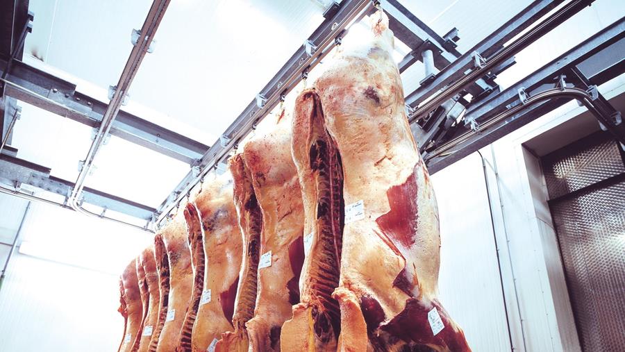 Geeft u alle voordelen van paardenvlees mee?