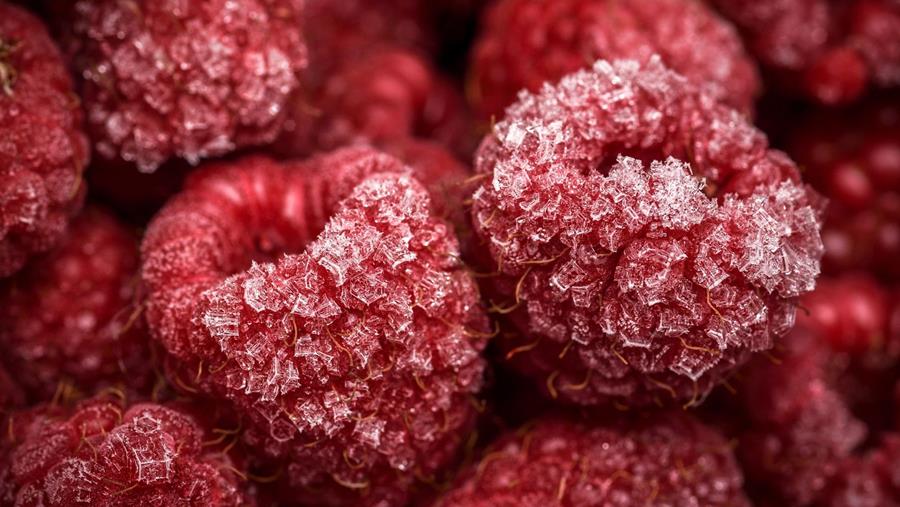 Fruit, natuurlijke bron voor vele toepassingen