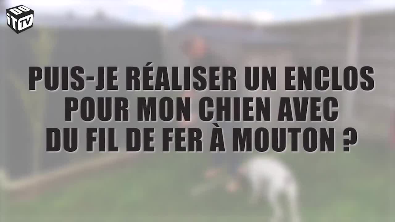 Comment faire votre propre enclos pour chien